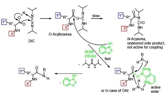 Ipamorelin Promote protein synthesis Ipamorelin Promote protein synthesis