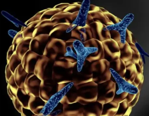 SLU-PP-332 buy | Shaanxi BLOOM Tech Co., Ltd SLU-PP-332 buy | Shaanxi BLOOM Tech Co., Ltd