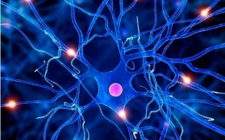 Compound Fipronil And Praziquantel Spot On Buy | Bloomtechz Compound Fipronil And Praziquantel Spot On Buy | Bloomtechz