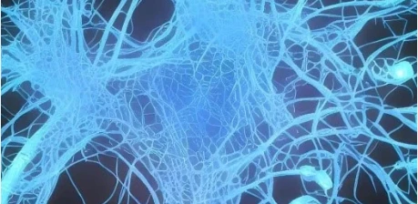 Compound Fipronil And Praziquantel Spot On Action | Bloomtechz Compound Fipronil And Praziquantel Spot On Action | Bloomtechz