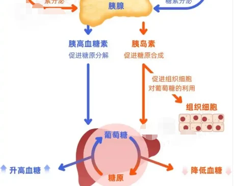 Guar Gum Multiple | Shaanxi BLOOM Tech Co., Ltd Guar Gum Multiple | Shaanxi BLOOM Tech Co., Ltd